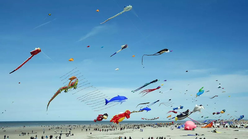 CERFS-VOLANTS BERCK SUR MER VISUEL CP
